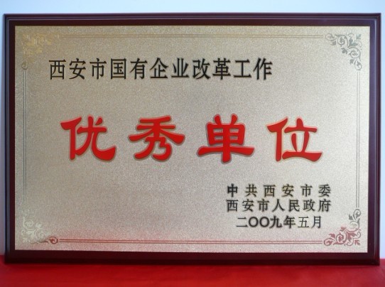 2009年5月，被西安市委、市当驹炖为西安市国企业鼎新工作优良单元